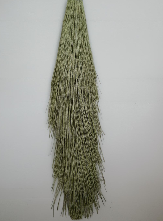 Plastic Broom ( Pack Of 2 )